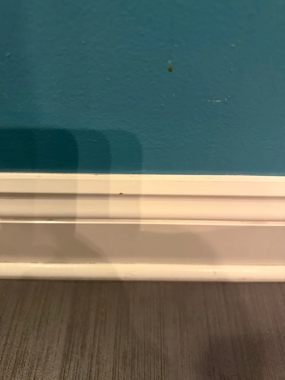 Baseboards and floor edge cleaned in an Ephrata, PA home