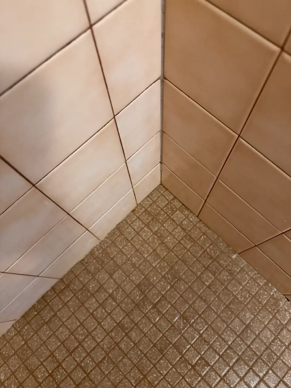 Mosaic shower floor tile and grout cleaned in Lancaster County, PA